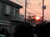 JA7ZP Image